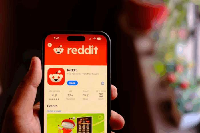 app reddit em um celular