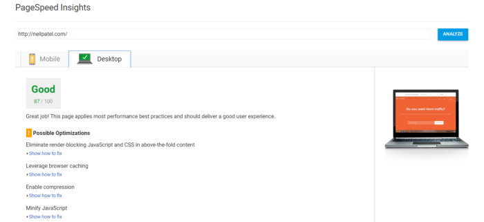Google PageSpeed Insights.