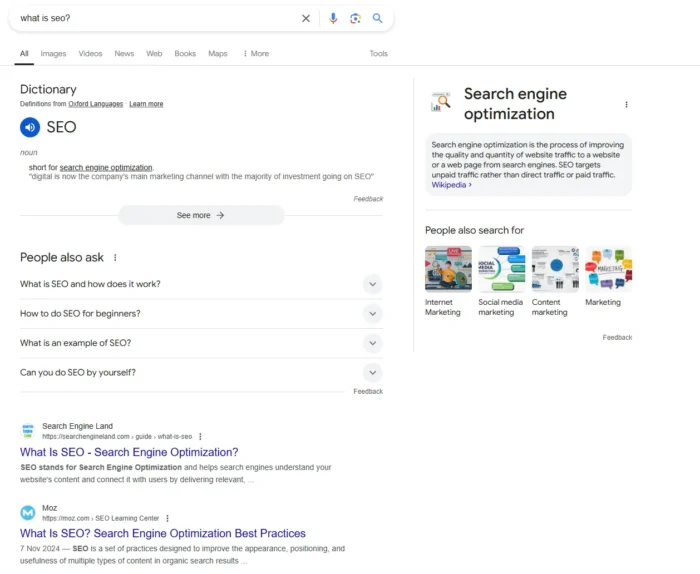 Google results for the phrase "what is SEO?"