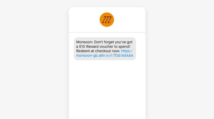 Example of an SMS message from Monsoon
